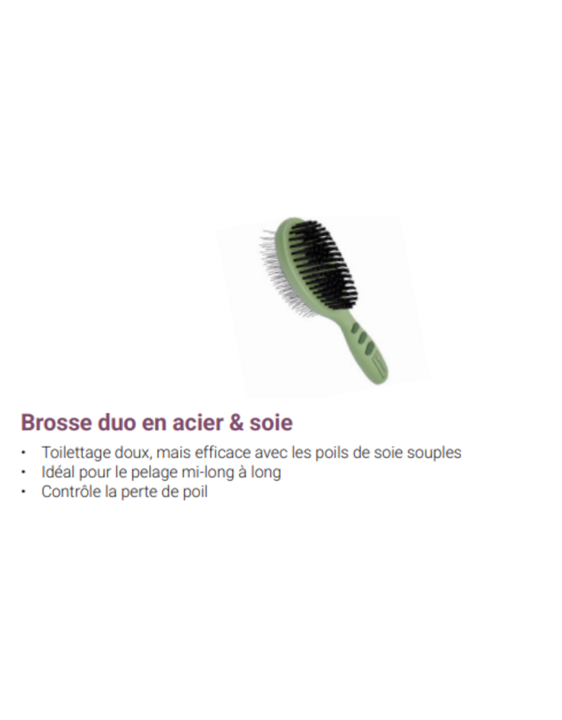 Safari Safari brosse duo en acier et soie medium