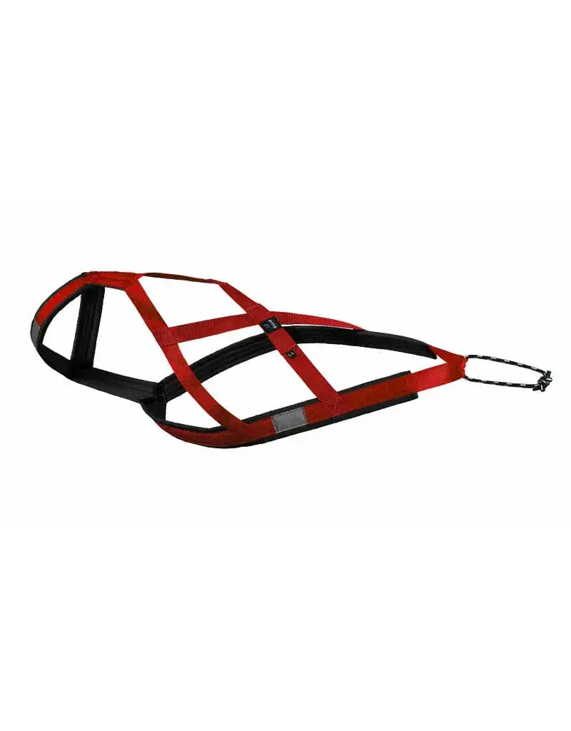 Nahak Nahak harnais de traction  rouge moyen-long.
