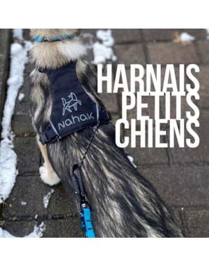 Nahak Nahak harnais de marche noir pour petits chiens très très petit.