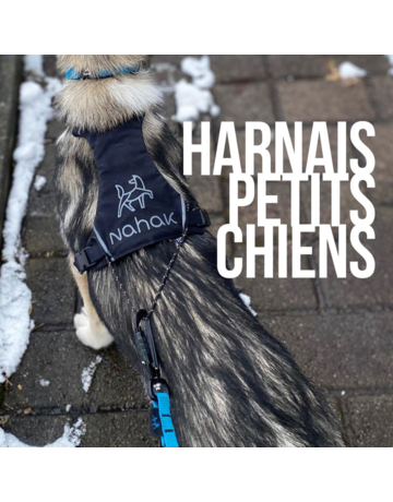 Nahak Nahak harnais de marche noir pour petits chiens très très petit.