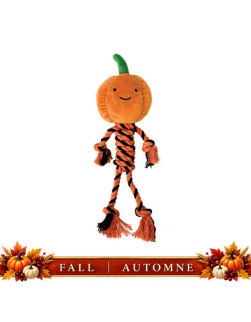 Foufit Foufit jouet pour chien halloween citrouille