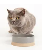 Scruffs Scruffs scandi non-tip pet bowl  gris 5.5 ''.