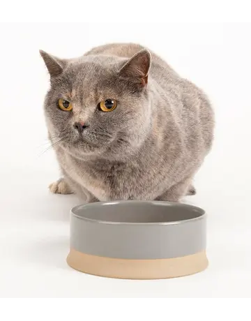 Scruffs Scruffs scandi non-tip pet bowl  gris 5.5 ''.