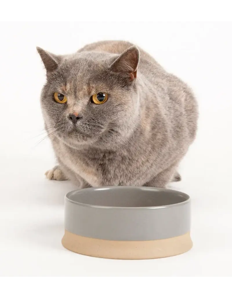 Scruffs Scruffs scandi non-tip pet bowl  gris 8''.