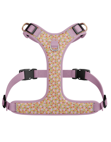 Tella & Stella Tella & Stella harnais hybride pour chien flora