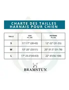Tella & Stella Bramstun harnais horizon pour chien orange petit