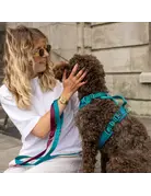 Tella & Stella Tella & Stella laisse pour chien bleu sarcelle très petit