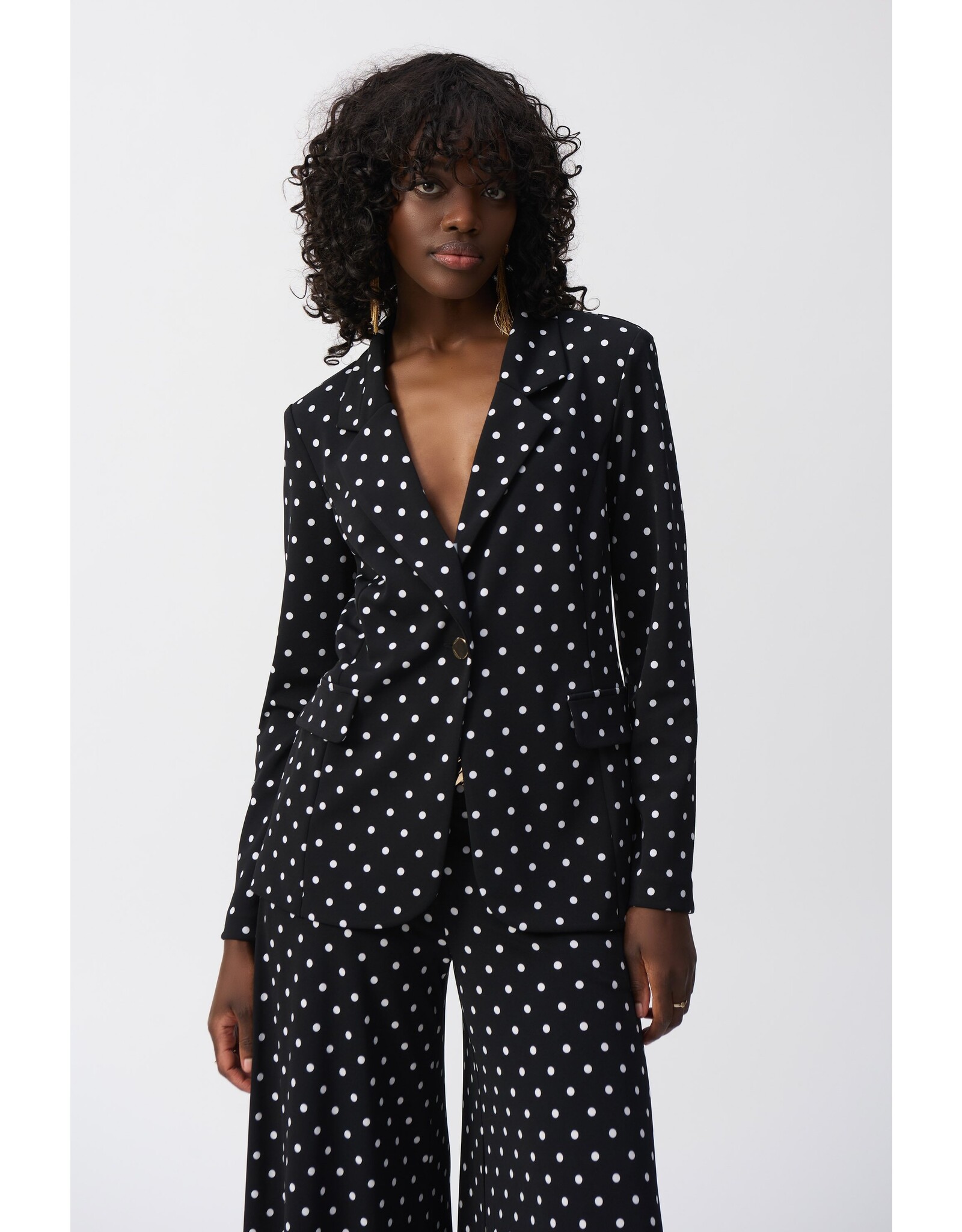 JOSEPH RIBKOFF 251051 JKT