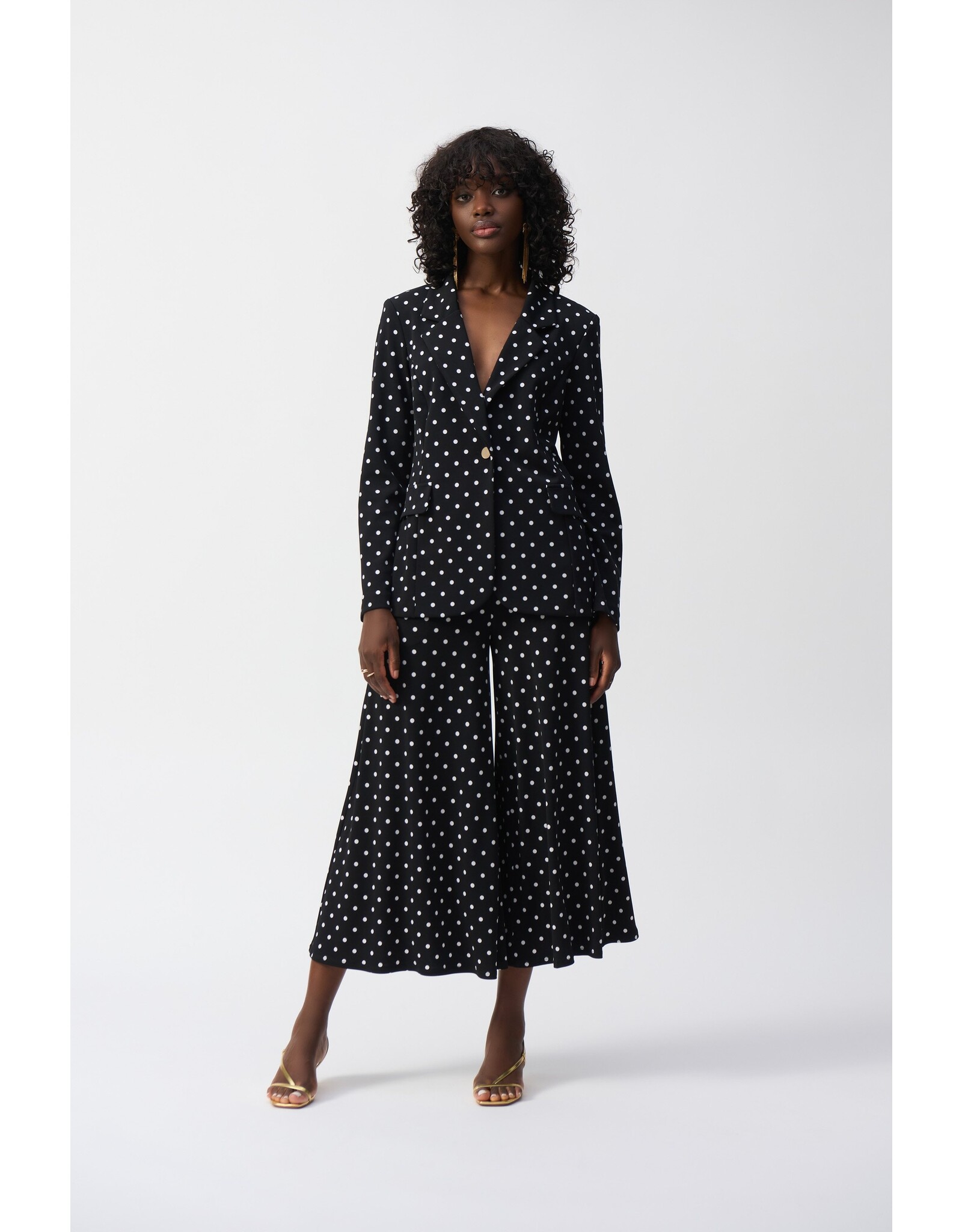 JOSEPH RIBKOFF 251051 JKT