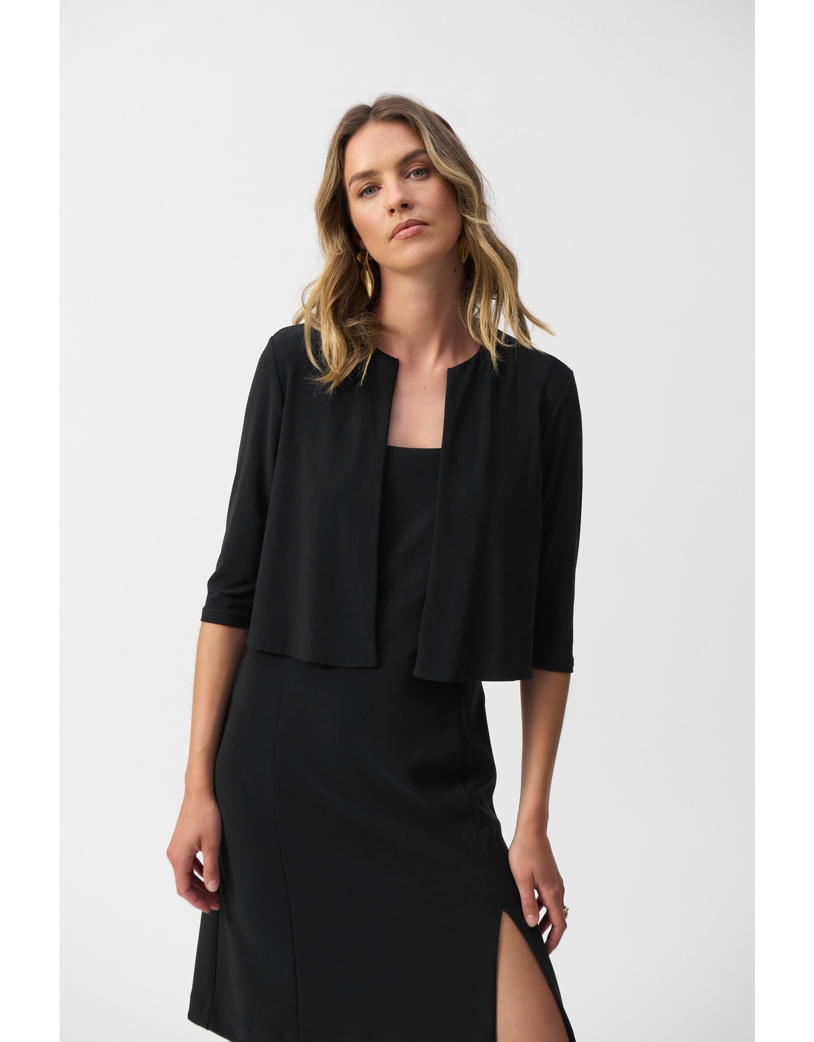 JOSEPH RIBKOFF 251173 COVER-UP