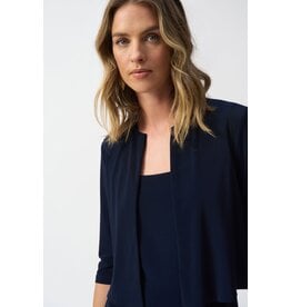 JOSEPH RIBKOFF 251173 COVER-UP