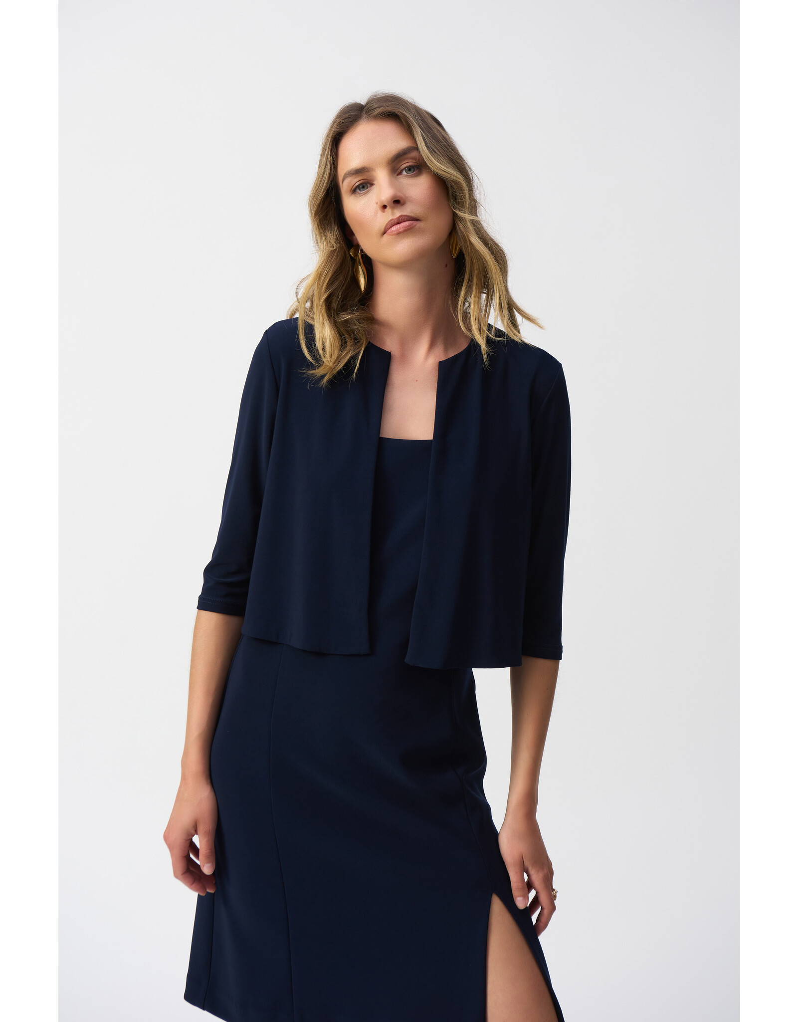 JOSEPH RIBKOFF 251173 COVER-UP