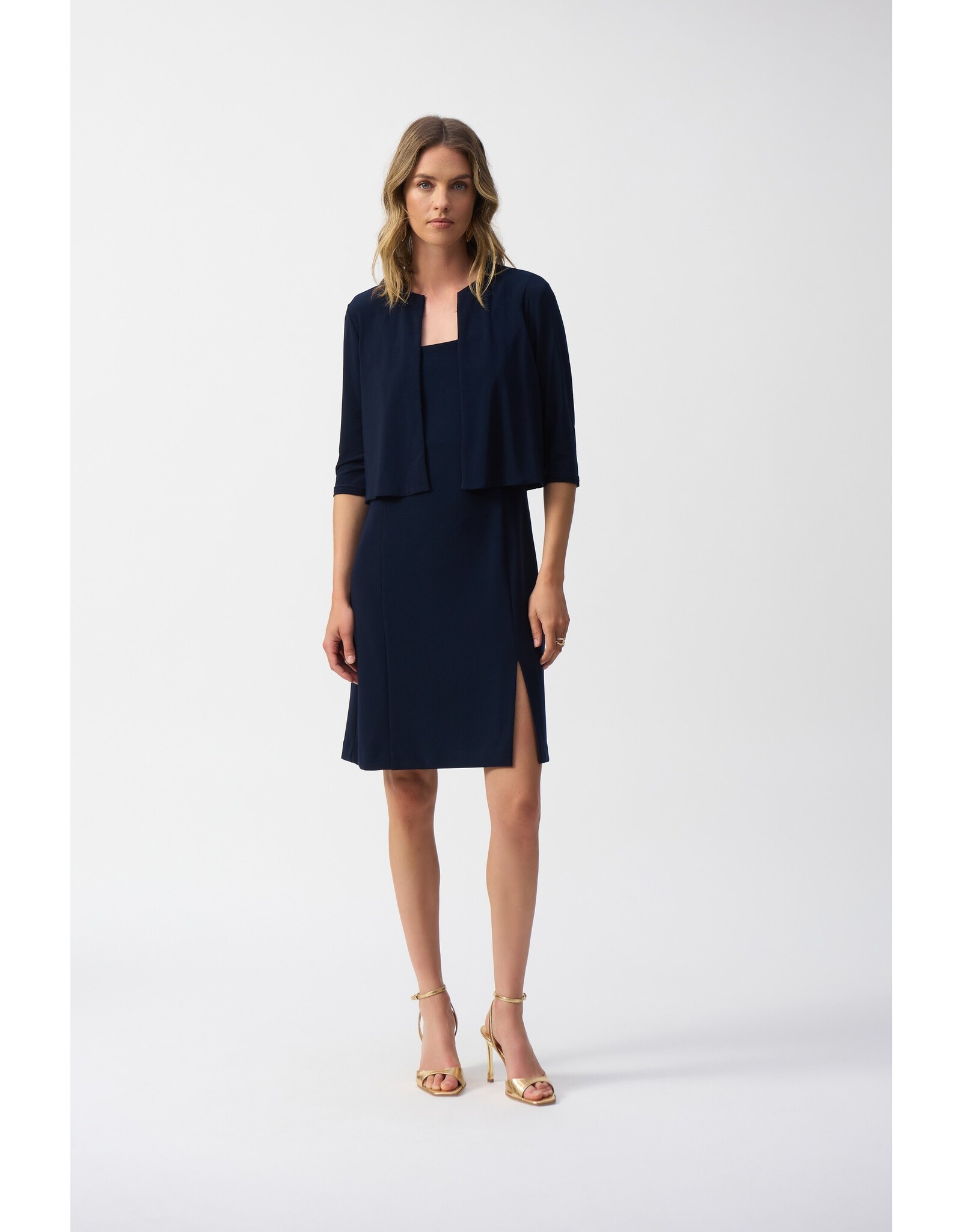 JOSEPH RIBKOFF 251173 COVER-UP