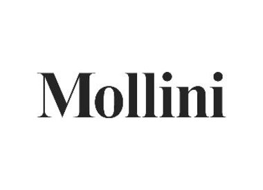 MOLLINI