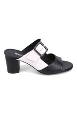 DJANGO AND JULIETTE CONRADE SHOES