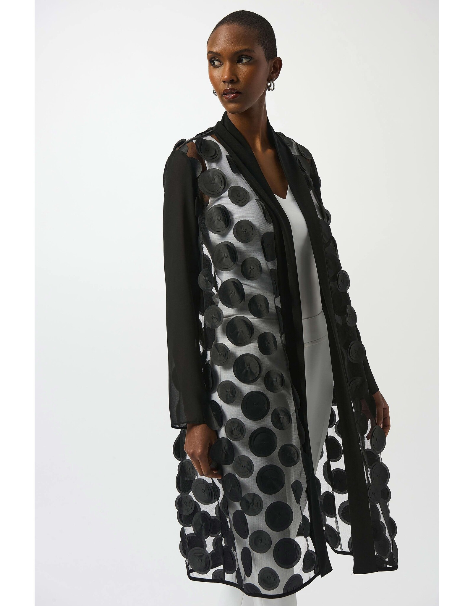 JOSEPH RIBKOFF 251209 COVER UP