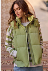 TRIBAL 2247O-8272