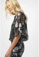 JOSEPH RIBKOFF 254181 TOP