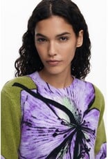 DESIGUAL 25WWJF42 PULLOVER