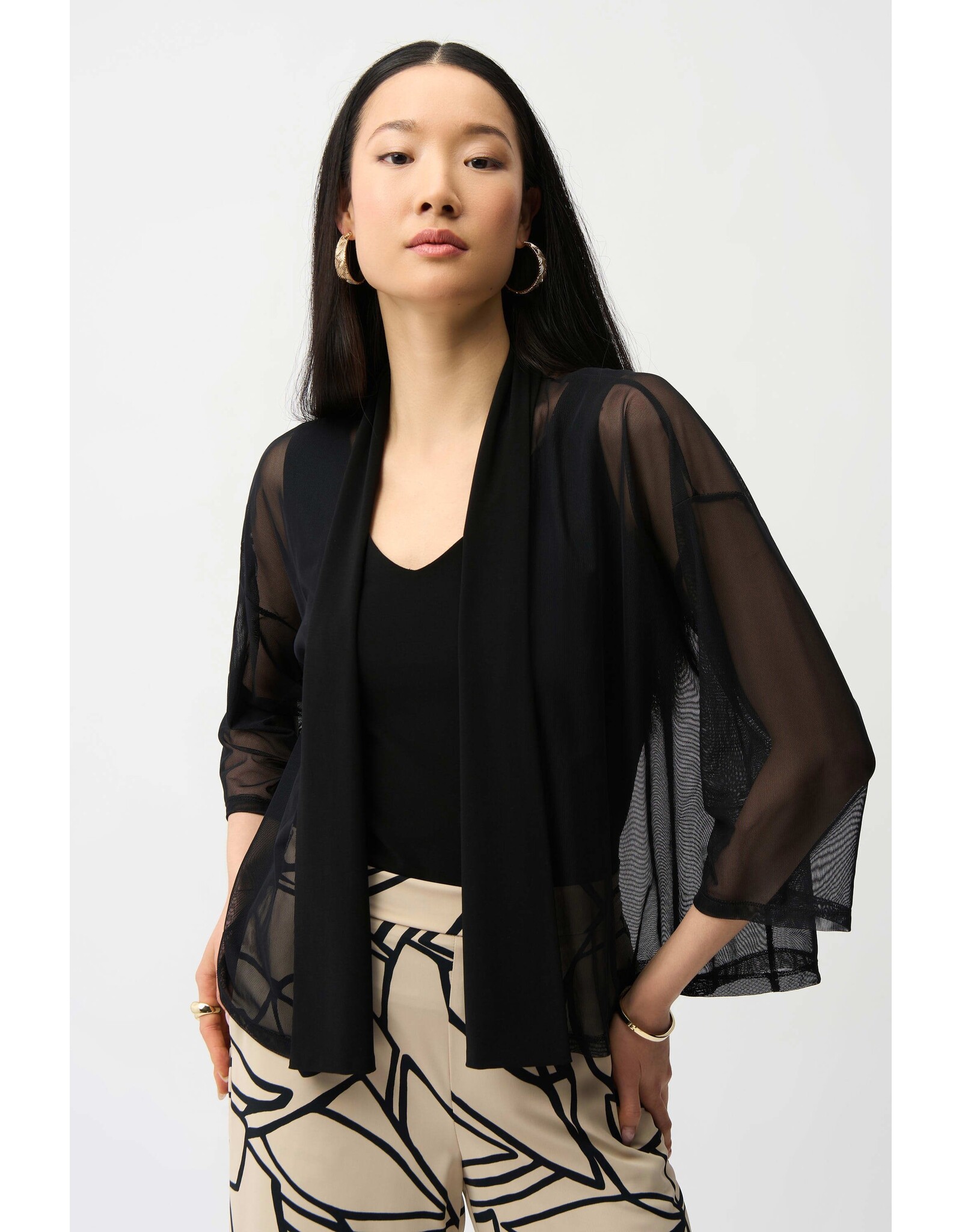 JOSEPH RIBKOFF 261204 COVER-UP