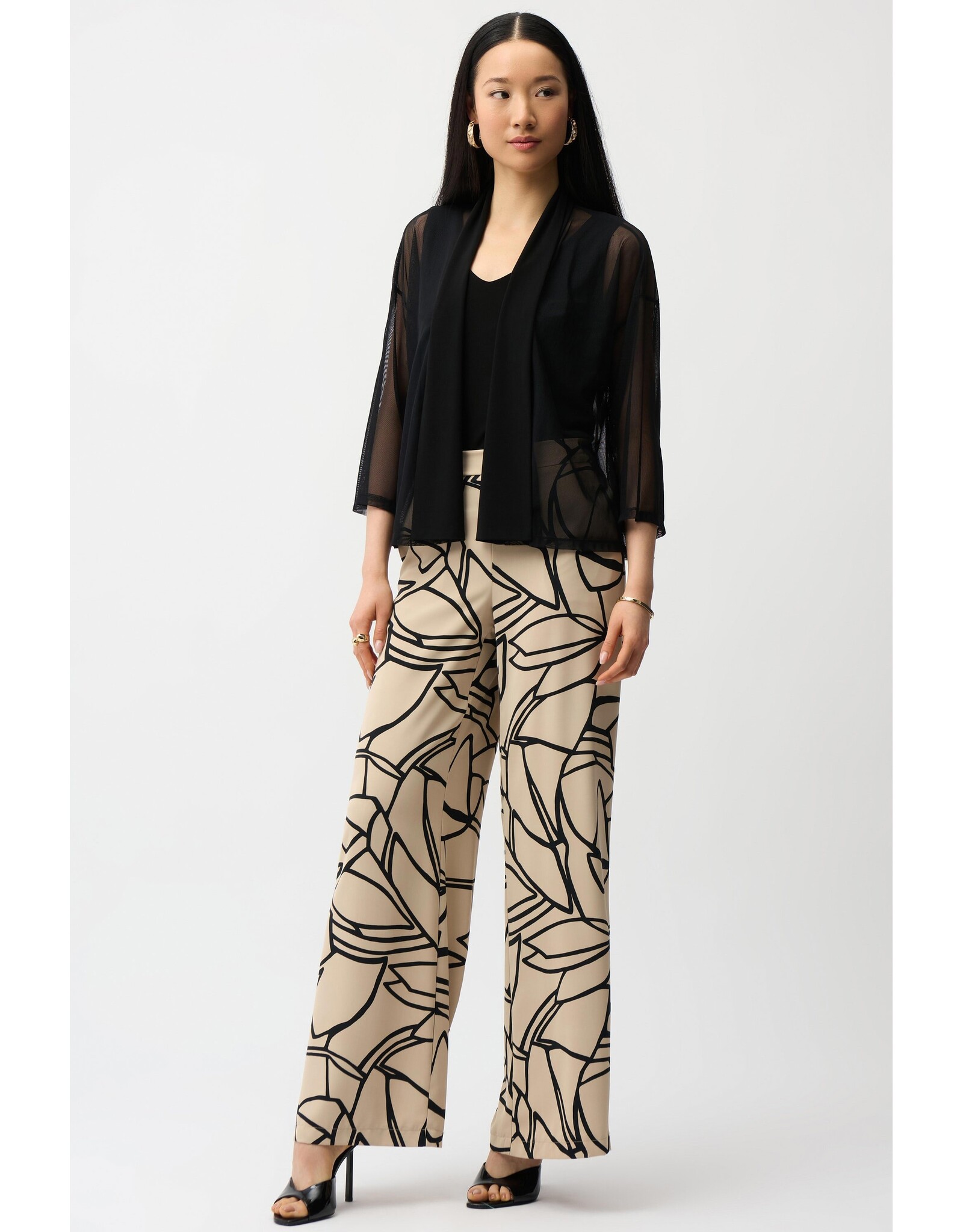 JOSEPH RIBKOFF 261204 COVER-UP