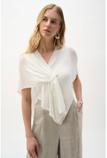 JOSEPH RIBKOFF 262965 COVER UP