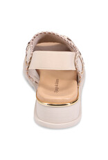 DJANGO AND JULIETTE CARLENET SHOE