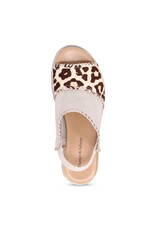 DJANGO AND JULIETTE CARLENET SHOE