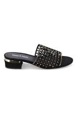 DJANGO AND JULIETTE TROPICS SHOE