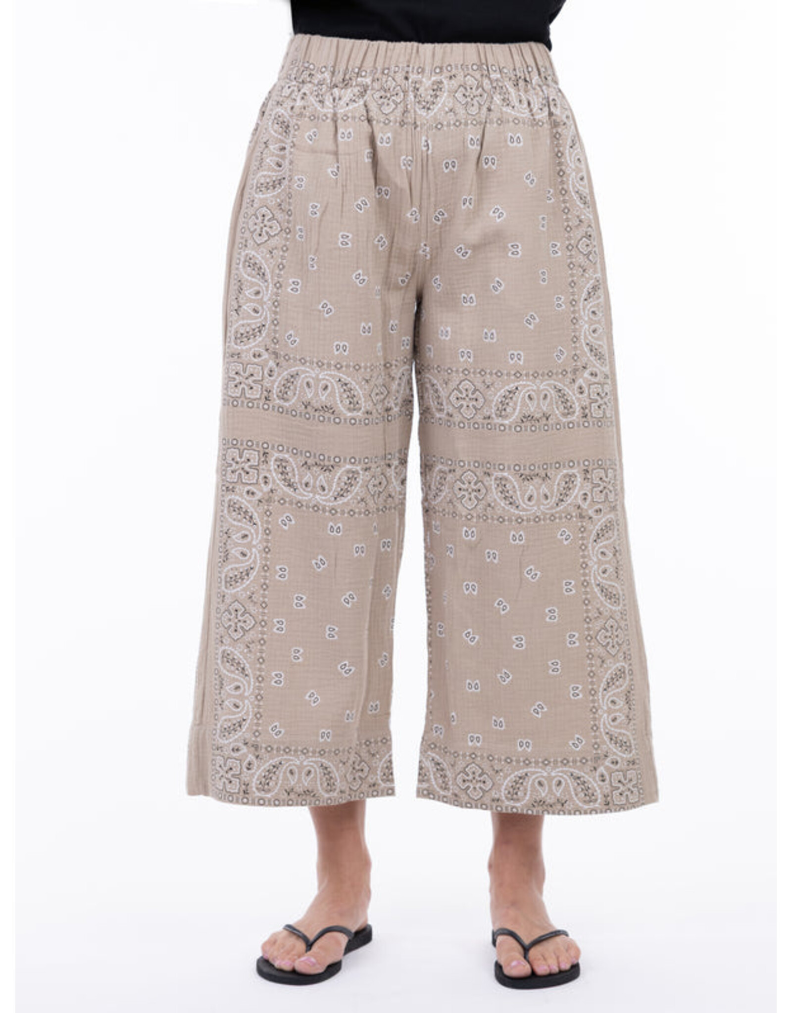 SHANNON PASSERO 5791 PANT