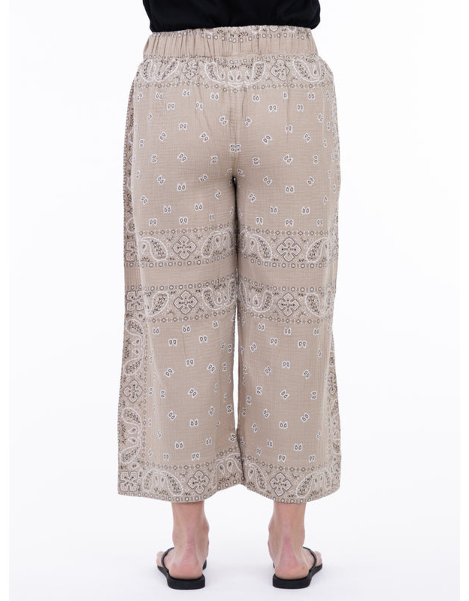 SHANNON PASSERO 5791 PANT
