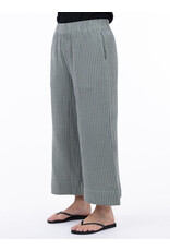 SHANNON PASSERO 5538 PANT