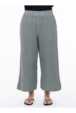 SHANNON PASSERO 5538 PANT