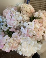 20" Pink Real Touch Hydrangea Stem