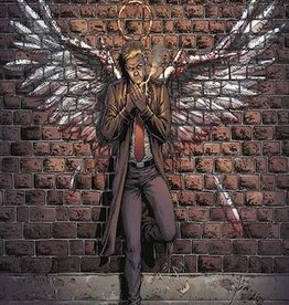 DC Comics John Constantine Hellblazer Rise And Fall HC