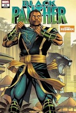 Marvel Comics Black Panther #25 Reborn Var