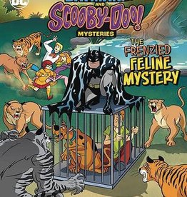 Stone Arch Books Batman Scooby Doo Mysteries Frenzied Feline Mystery TP