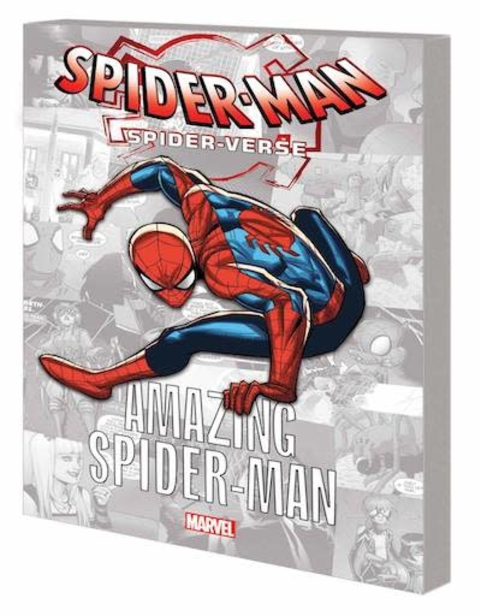 Marvel Comics Spider-Verse Amazing Spider-Man TP