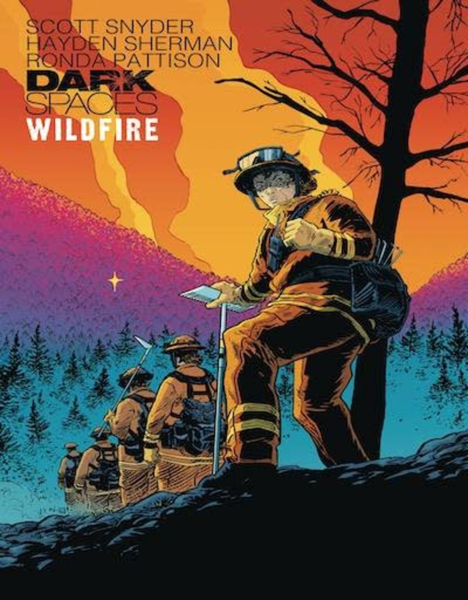 IDW Publishing Dark Spaces TP Wildfire