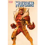 Marvel Comics Wolverine #8 Bengus Marvel Vs. Capcom Variant