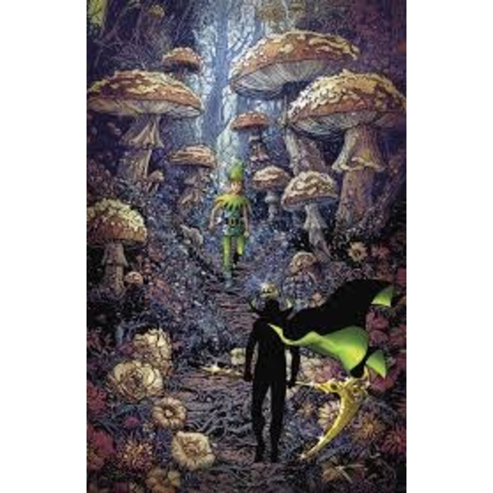 Boom Entertainment The Last Boy #2 F Unlockable Variant Full Art Panosian