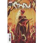 Marvel Comics Storm #9 Nimit Malavia Variant