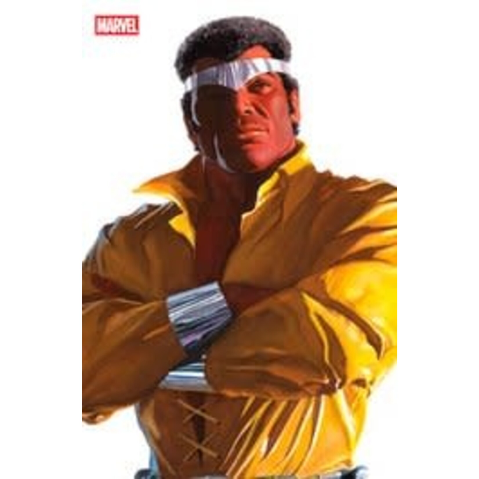 Marvel Comics Power Man Timeless #4 Alex Ross Timeless Virgin Variant