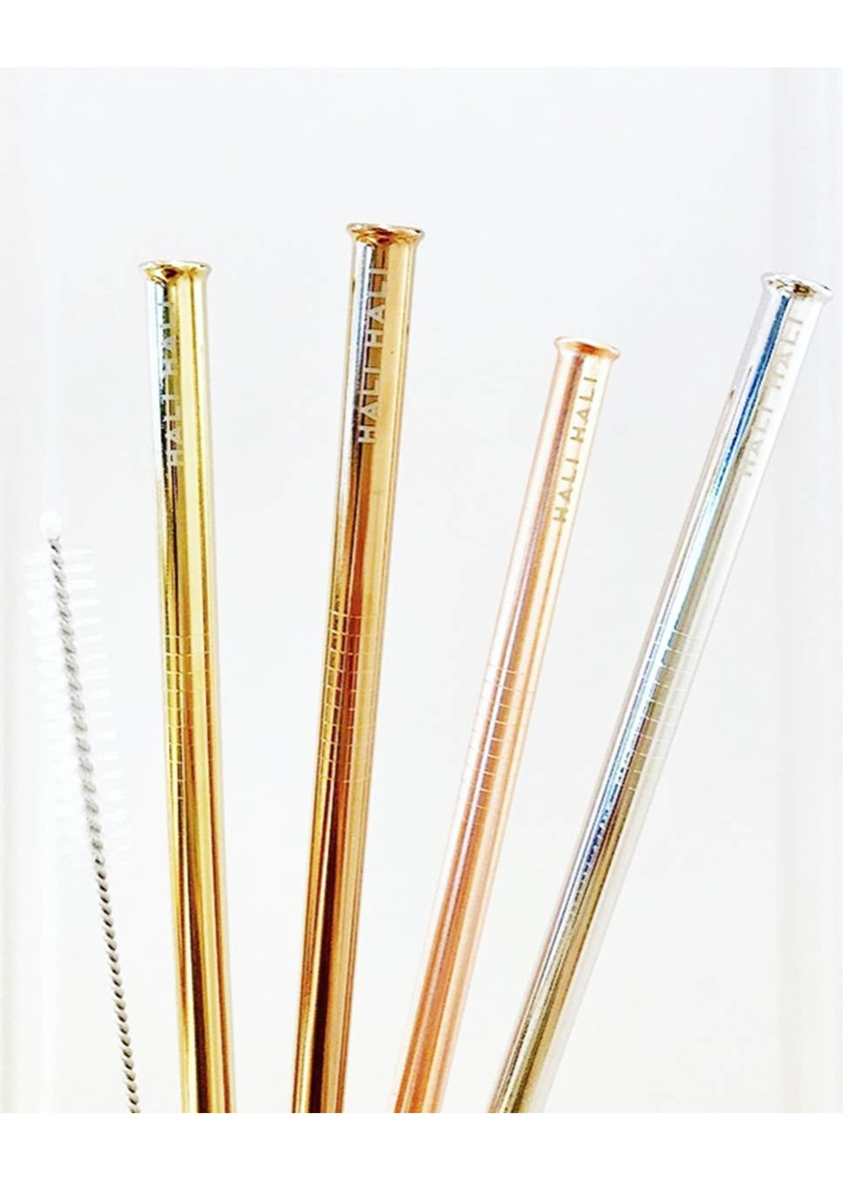 Sunset 6 Piece Reusable Straw Set