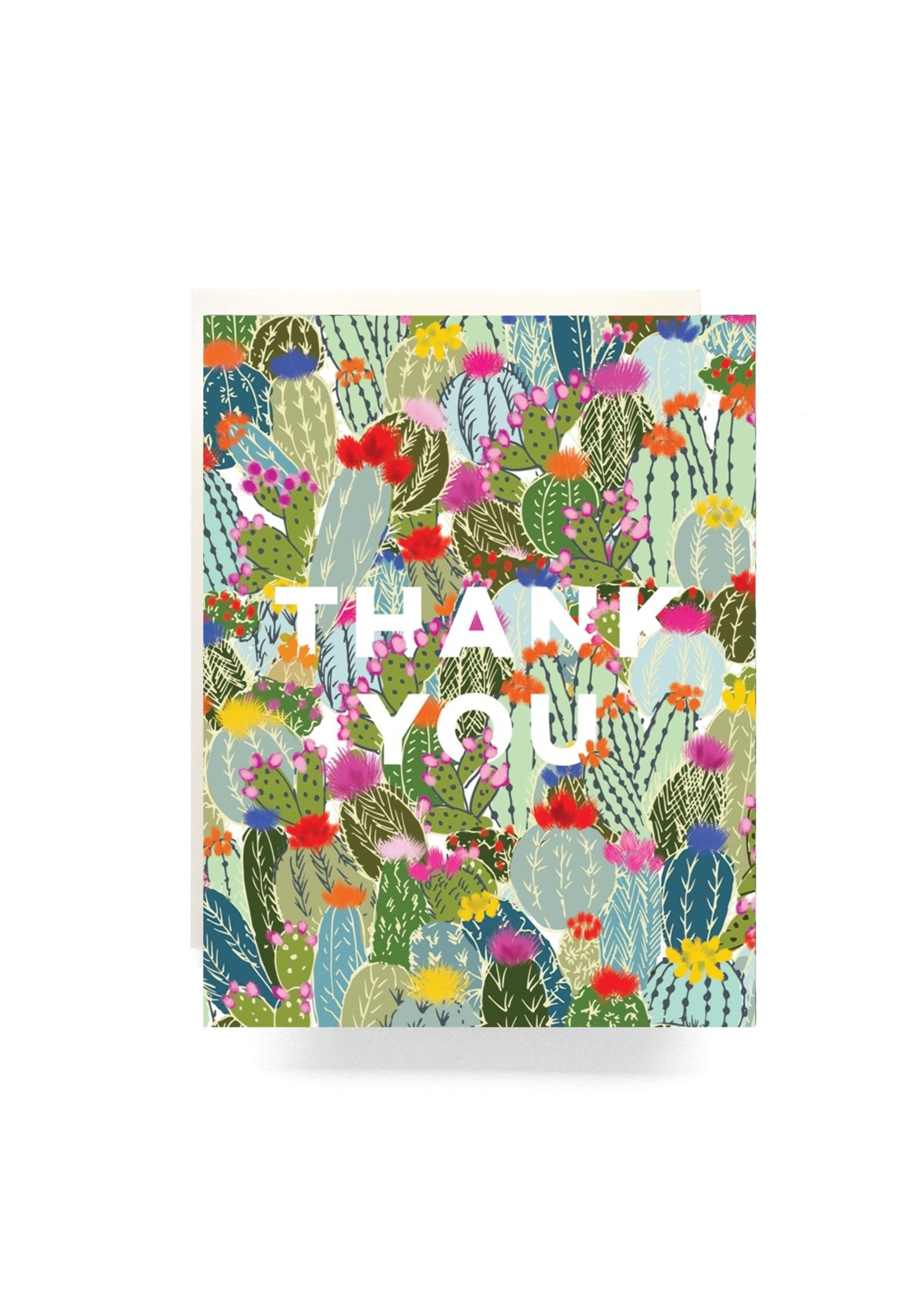 Antiquaria Cactus Explosion Thank You Boxed Set