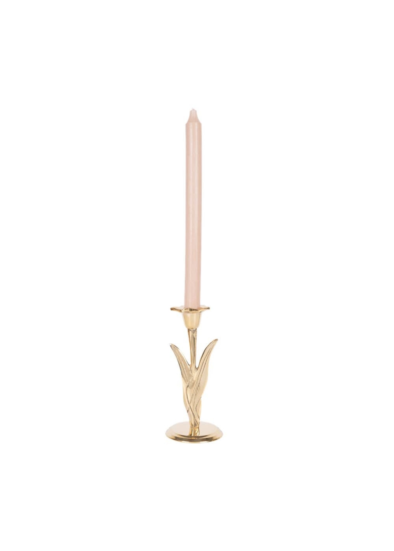 Narcissus Candle Holder