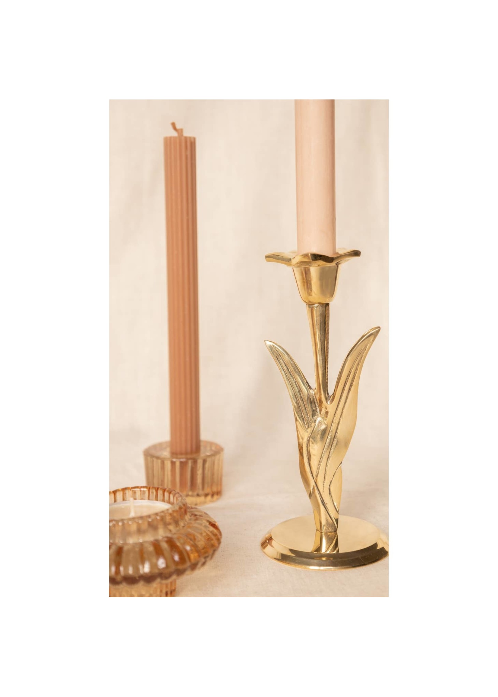 Narcissus Candle Holder