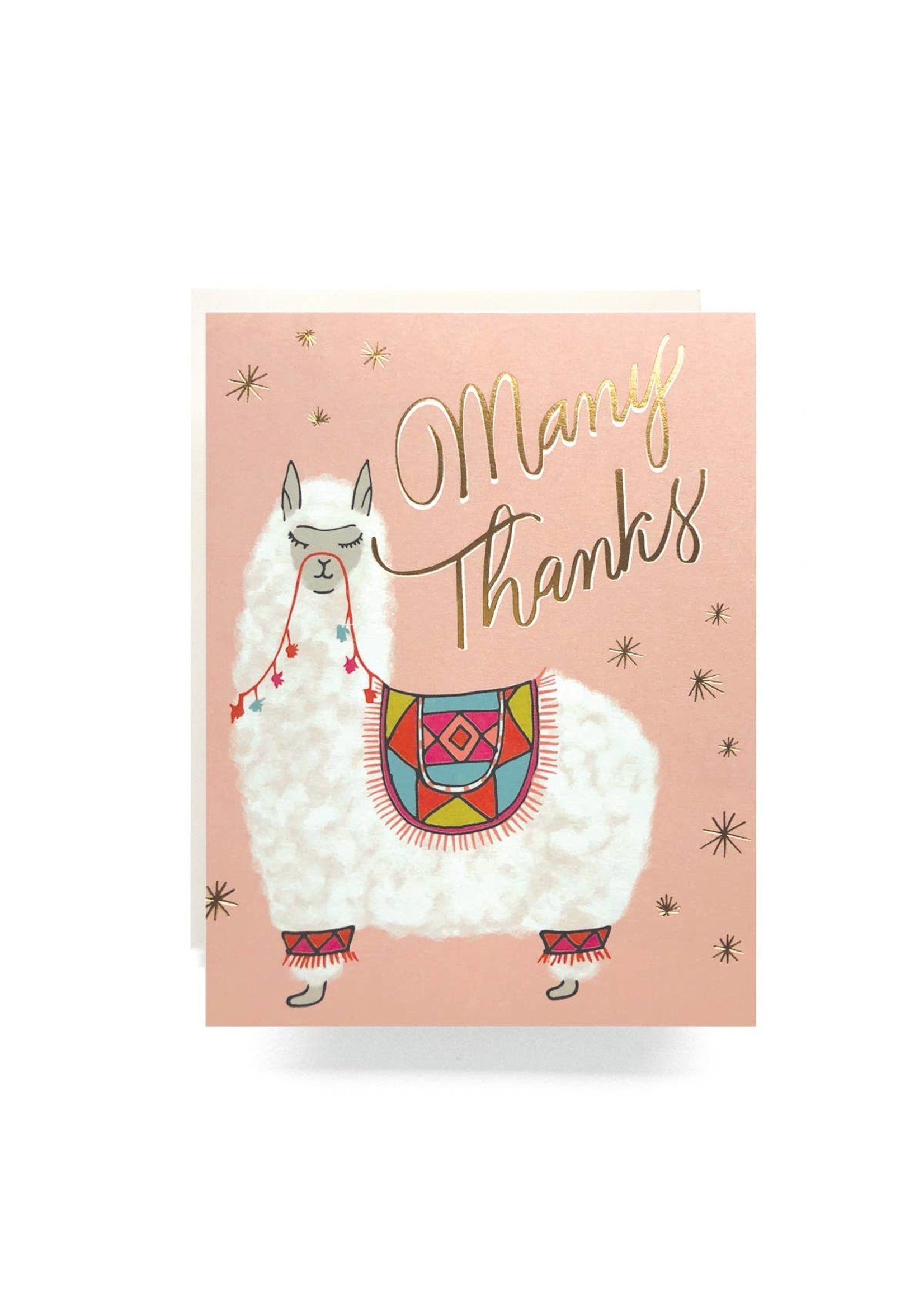 Antiquaria Alpaca Thanks Greeting Card