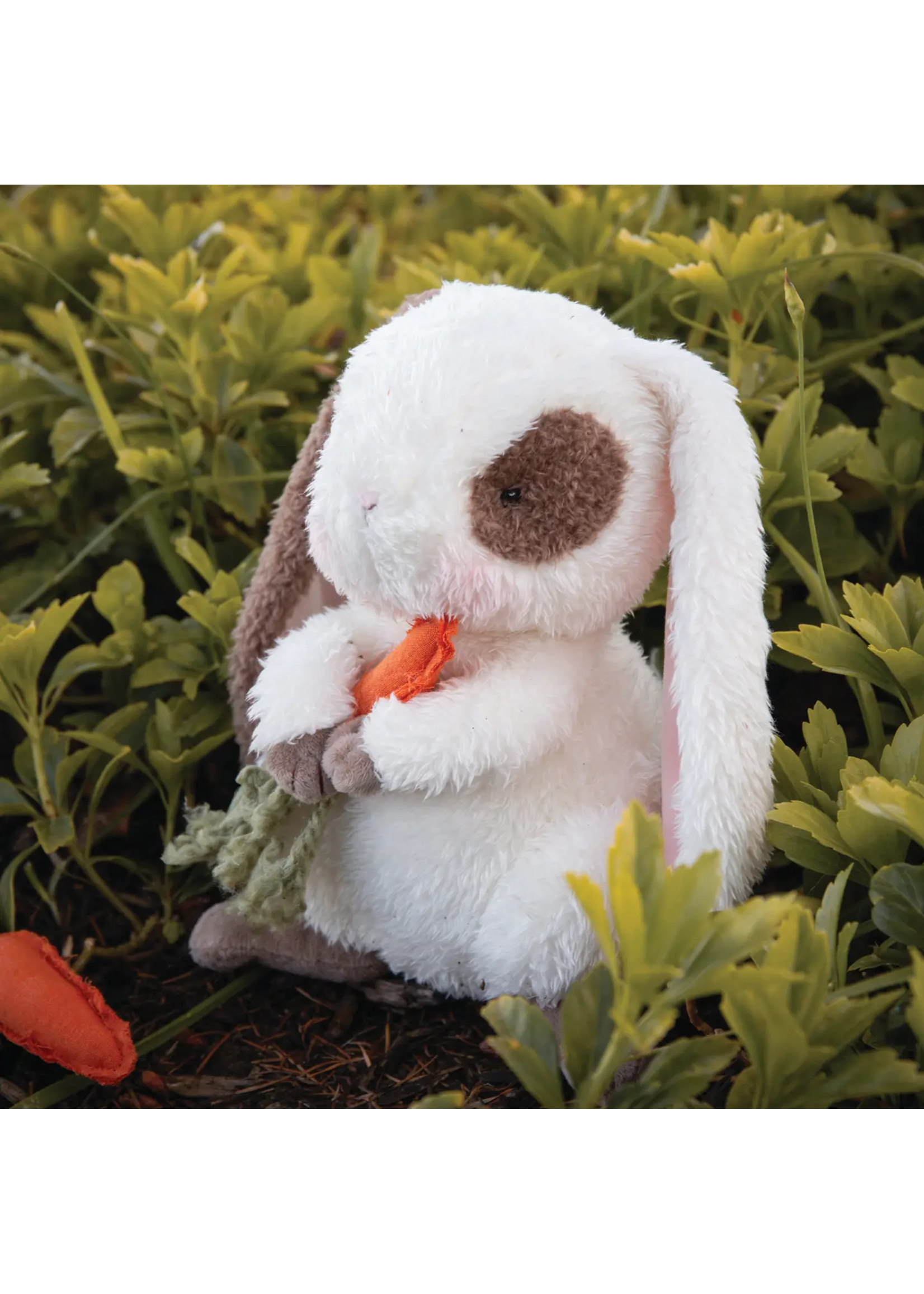 Herby Hare Bunny