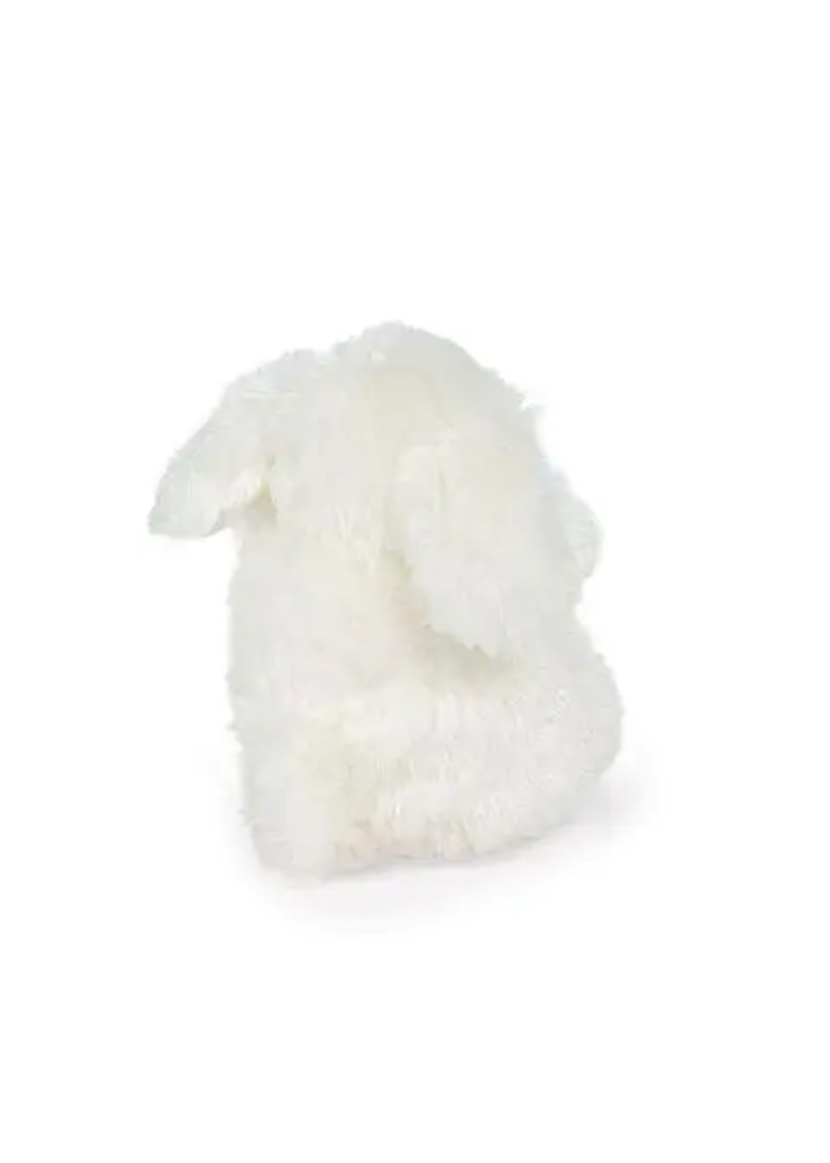 Wee Ittybit Bunny